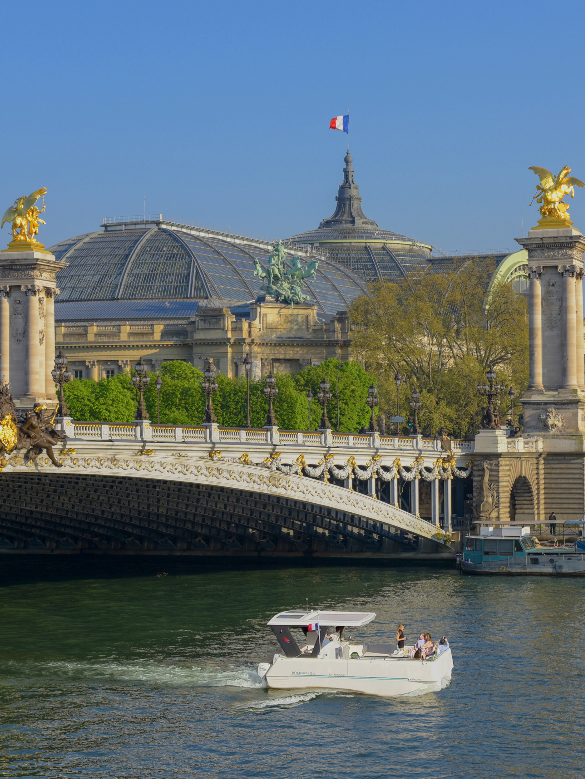 Boat in Paris - Private boat tour in Paris on the Seine - Pont Alexandre III - Portrait